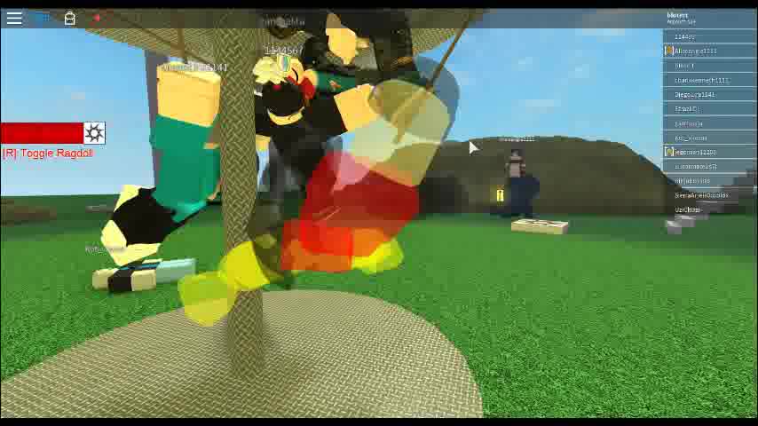 robloxapp-20171106-2014570.wmv