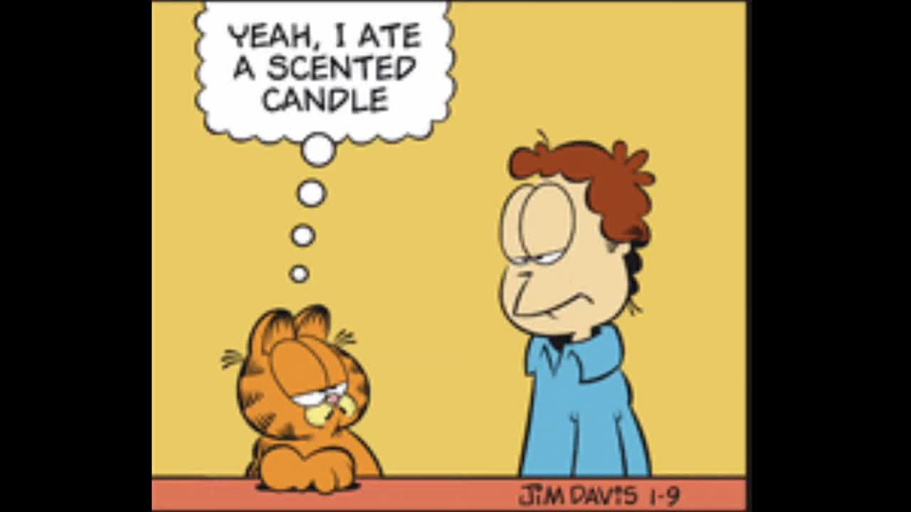 2025_01_09 Garfield Comic Dub