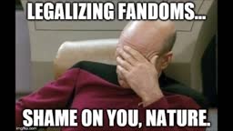 Two Controversial Things about Fandoms (Rant)
