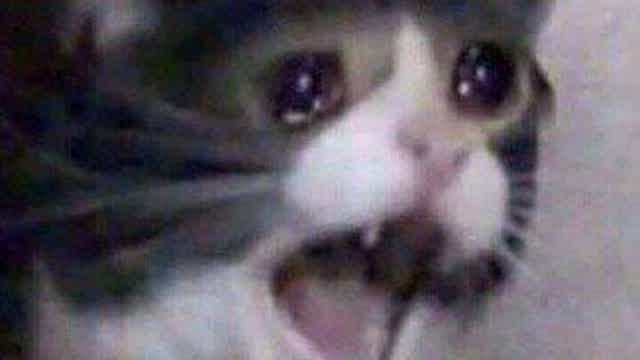 playing MAPNO 4 BUT I RAGE QUITTED