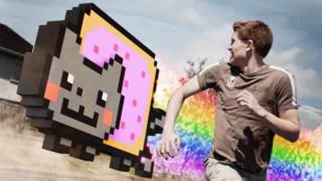 Real-Life Nyan Cat Real-Life Nyan Cat