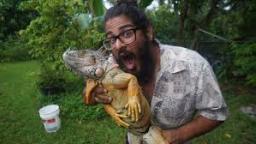 soyboy holds iguana for ransom