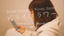 ドライフラワー (Dried Flowers / Flores Secas) - Cover: Ai Shinozaki - Japanese, English & Spa