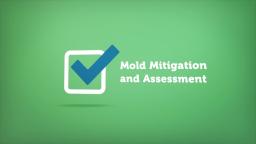ALL US Mold Removal & Remediation in Clearwater FL : Home Inspector