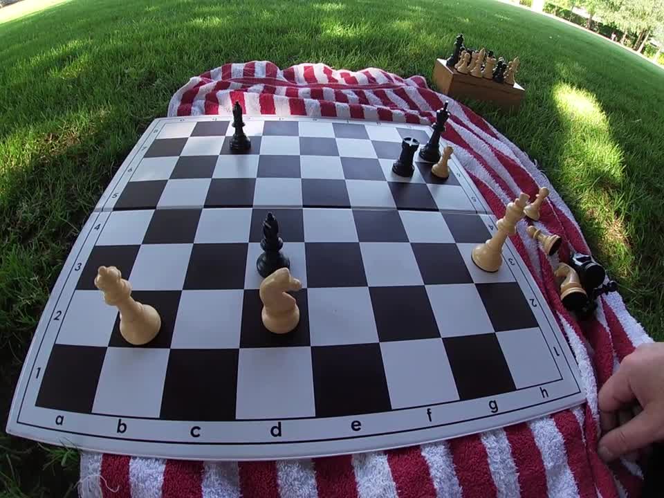 One of his best chess study - Peter Krug