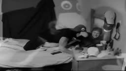 Penguin rape