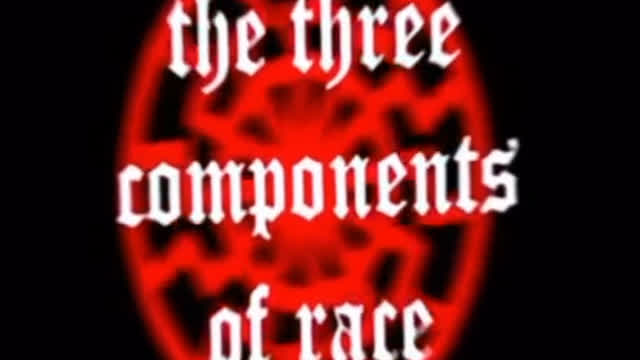 The Three Components of Race