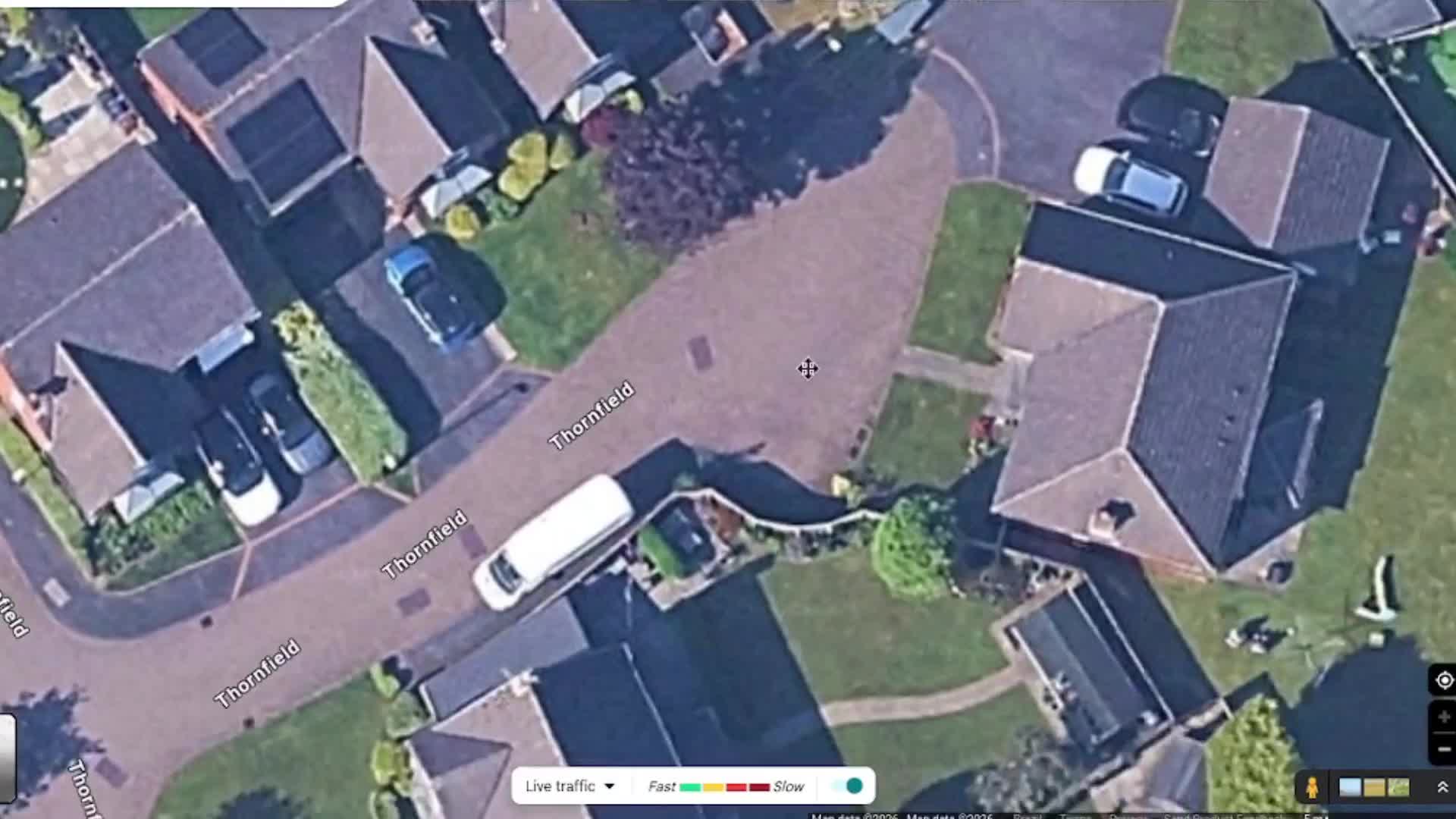 total lolipedo death