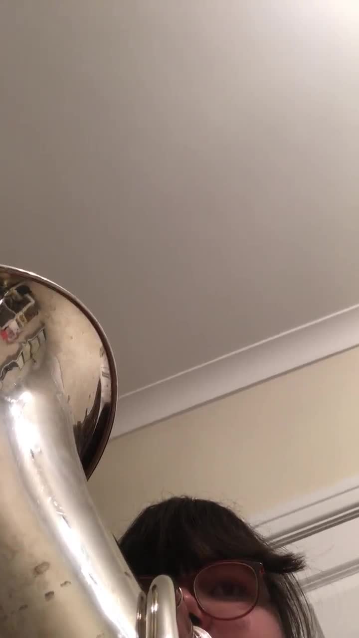 The Funny Reddit Song