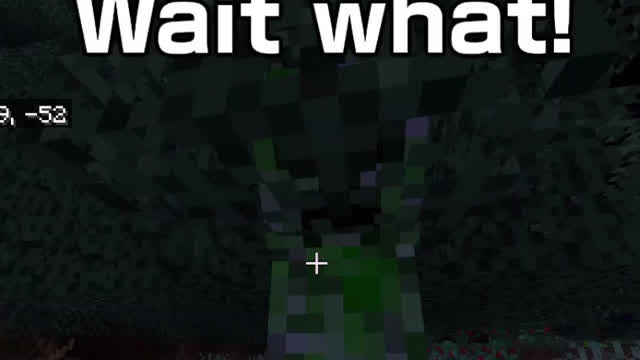 creeper stuck in leaves minecraft 1.20