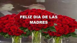 FELIIZ DIA DE LAS MADRES 2021, ¿TU MERECES SER FELICITADA¿ , #GOLDACELERIUX