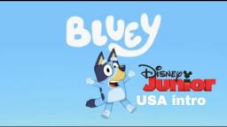 Bluey Disney Jr USA Intro