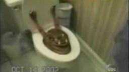 Funny Prank!! Monster in the toilet! The Kid screams so lou