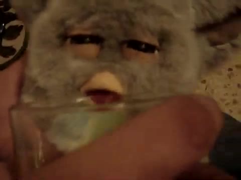 Furby Borracho, alcoy