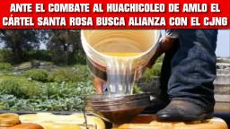 ANTE EL COMBATE AL HUACHICOLEO DE AMLO EL CÁRTEL SANTA ROSA BUSCA ALIANZA CON EL CJNG