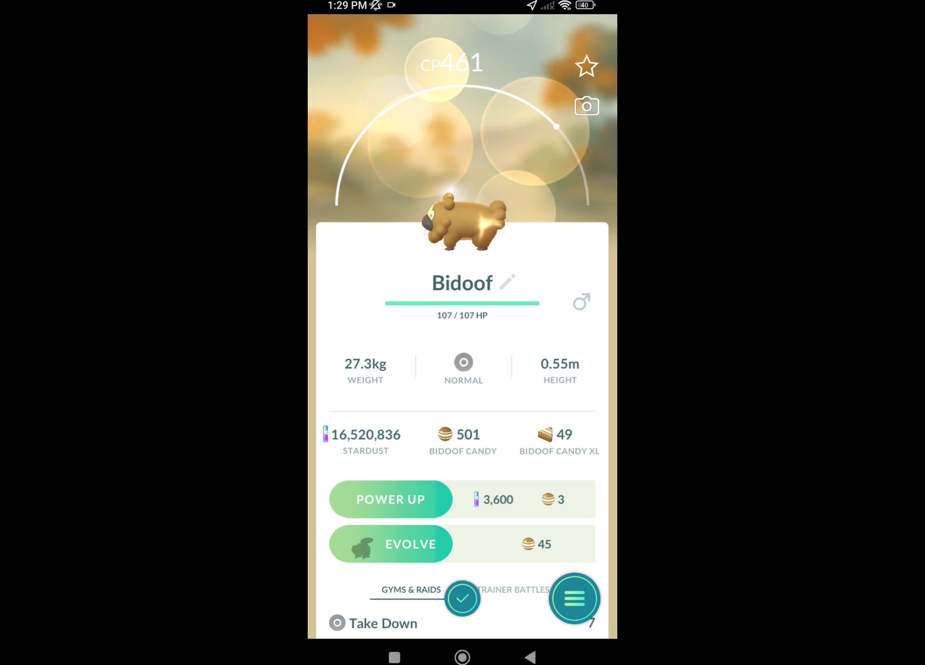 Pokémon GO-Purifying Shadow Bidoof