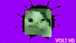 Begula Csupo Effects Begula Csupo Effects