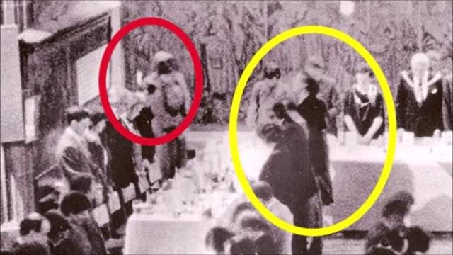 329 Conexión entre humanos y los seres que habitan la isla Friendship