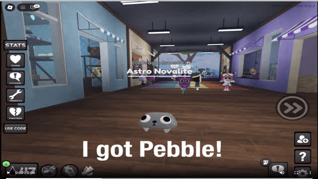 I Got Pebble!