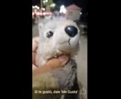 Cosas_T�picas_d_Amigos_Tocayos.3gp Cosas_T�picas_d_Amigos_Tocayos.3gp