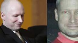 Anders Breivik isn’t Aryan