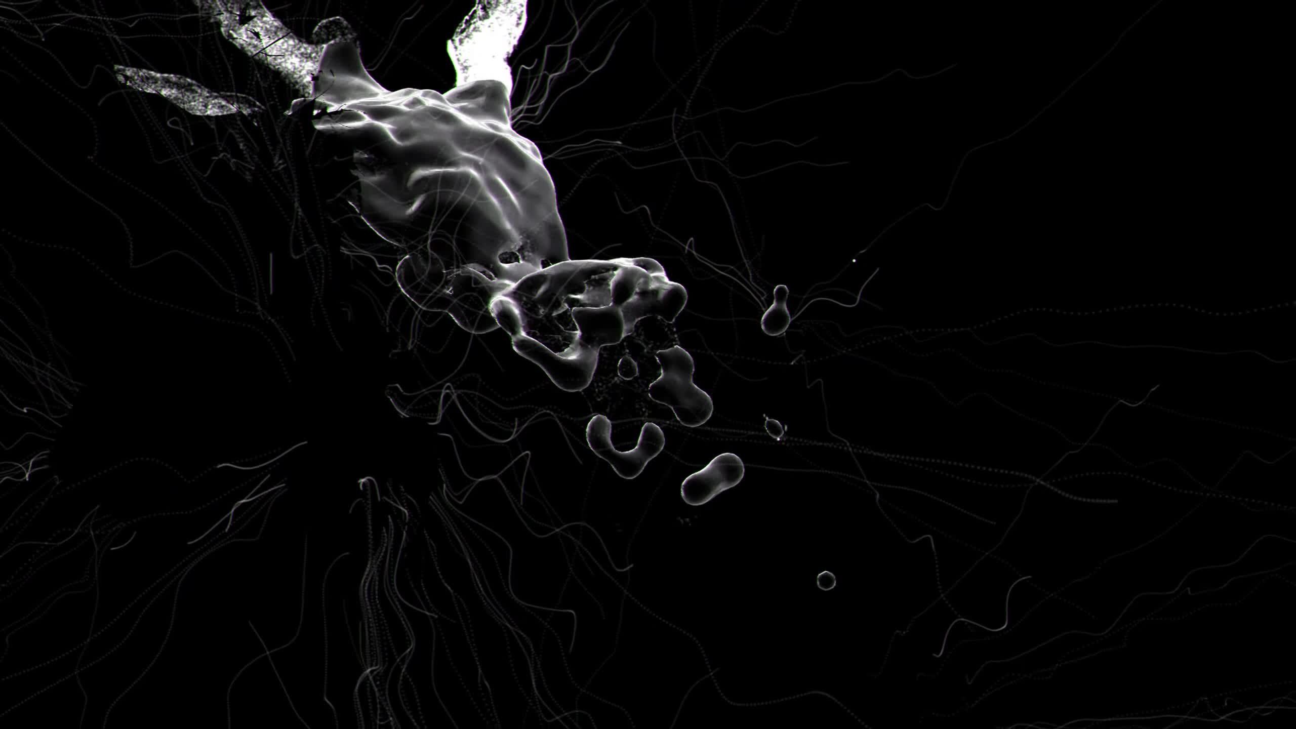 "Numb Res" (2011) - Fairlight & CNCD
