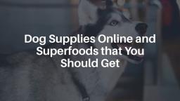 Dog Supplies Online and Superfoods that You Should Get