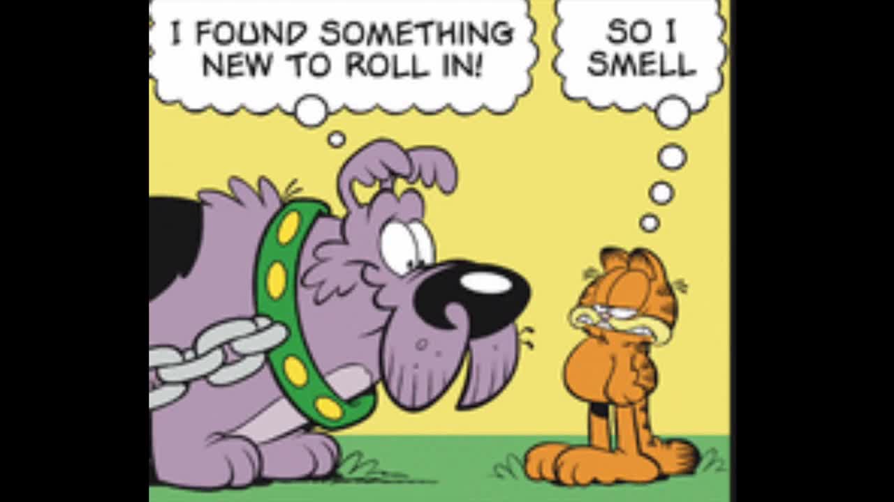 2025_08_27 Garfield Dub