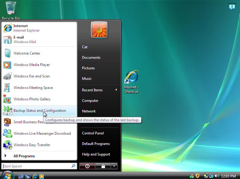 Windows Vista Business