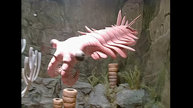 Tribute to anomalocaris