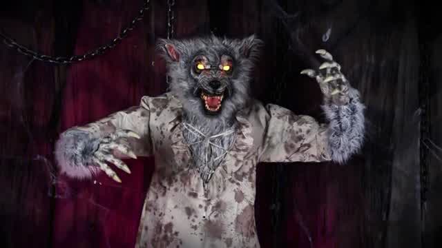 Bloodhowler Werewolf Animatronic prop (2025)