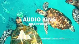 Jaks Wilson & ALESH - Vision (feat. Notfromvenus) [Vlog No Copyright Music] AK Audio King