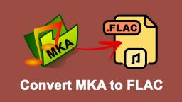 How to Convert MKA to FLAC Efficiently?