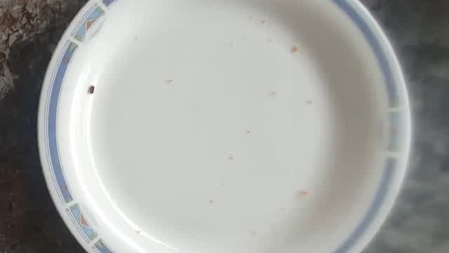 sandwich edit