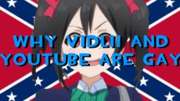 Why Vidlii and Youtube are gay
