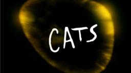 cats intro