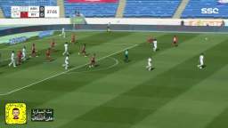 دوري روشن السعودي  ملخص الرياض 1-0 أبها
