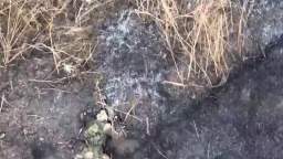 Drone bombing on Russian soldier and Russian losses