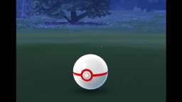 Pokémon GO-Shadow Growlithe