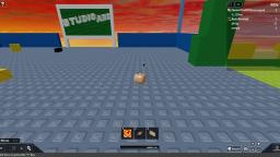 Weird ROBLOX thing