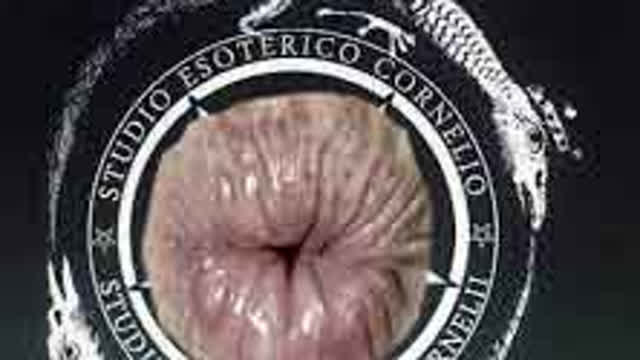 MARZADURI MARCO IL TRUFFATORE MILLANTA LAUREA CONSEGUITA A BOGOTA' E SUA MADRE FALSAMENTE CONFERMA