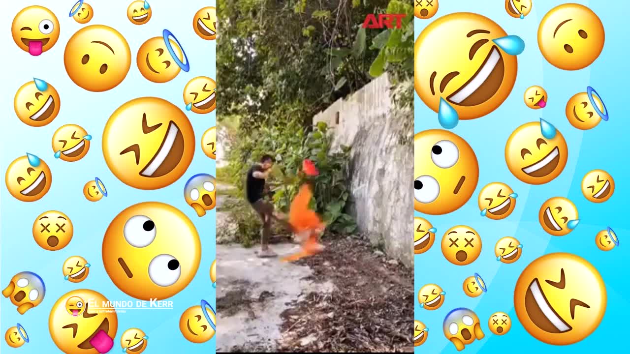 VIDEOS GRACIOSOS - PARTE 62 VIDEOS GRACIOSOS - PARTE 62