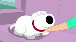 Family Guy - Cat Brian Family Guy - Cat Brian