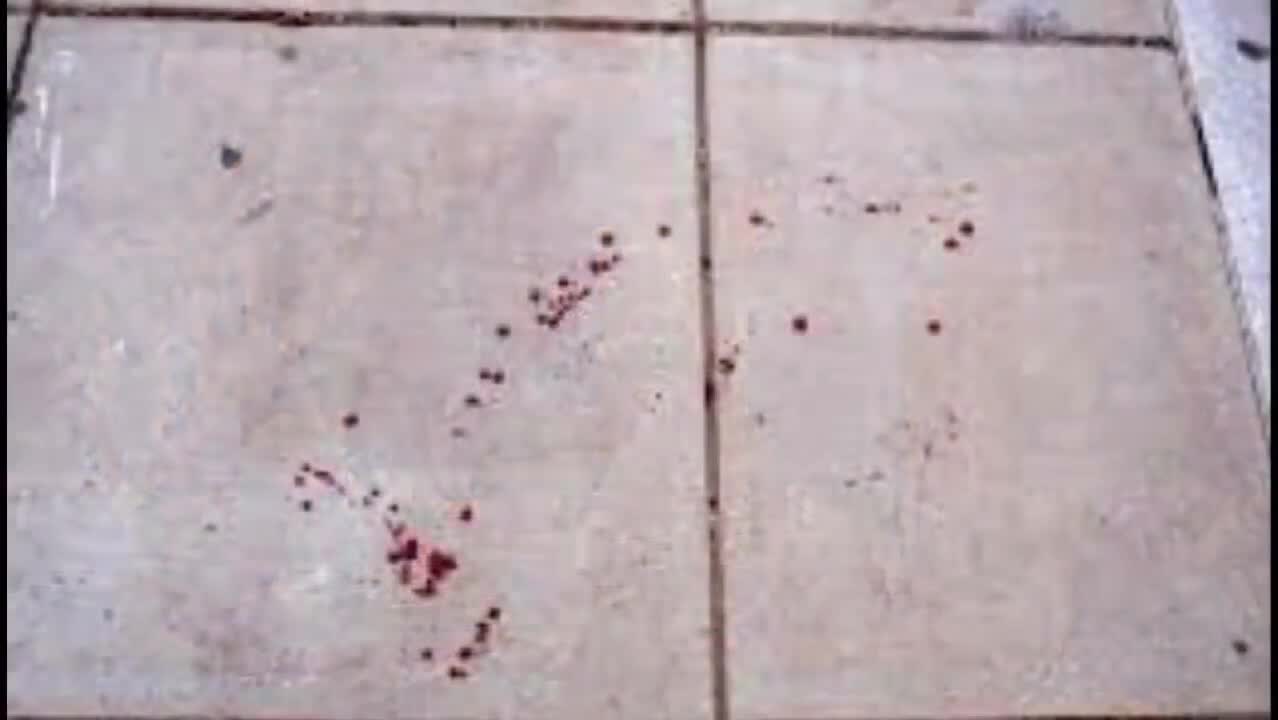 Creepypasta la version maldita de Hello neighbor ( juego maldito ) loquendo 2017 (sin censura)(720P_