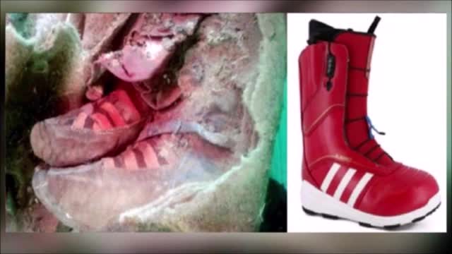 249 El Proyecto Brainstorm y las zapatillas adidas que aparecen en la pelicula