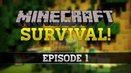 Minecraft Survival Series #1 - The first part of the land!