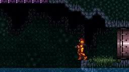 SUPER METROID