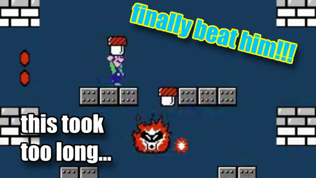 I FINALLY BEAT FRYGUY!!! | super mario bros 2