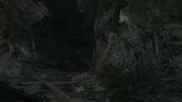 streamladder-beartrap