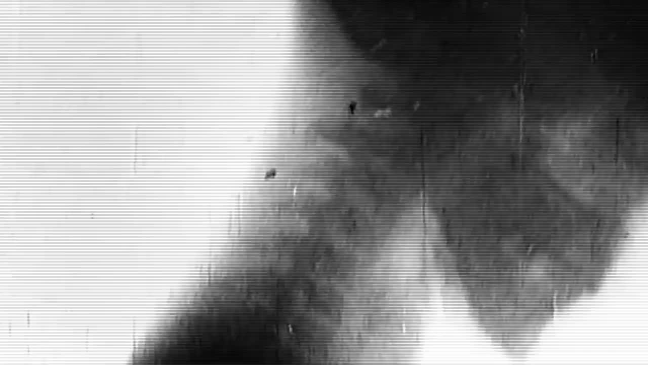 With the Dead - Isolation (OFFICIAL)